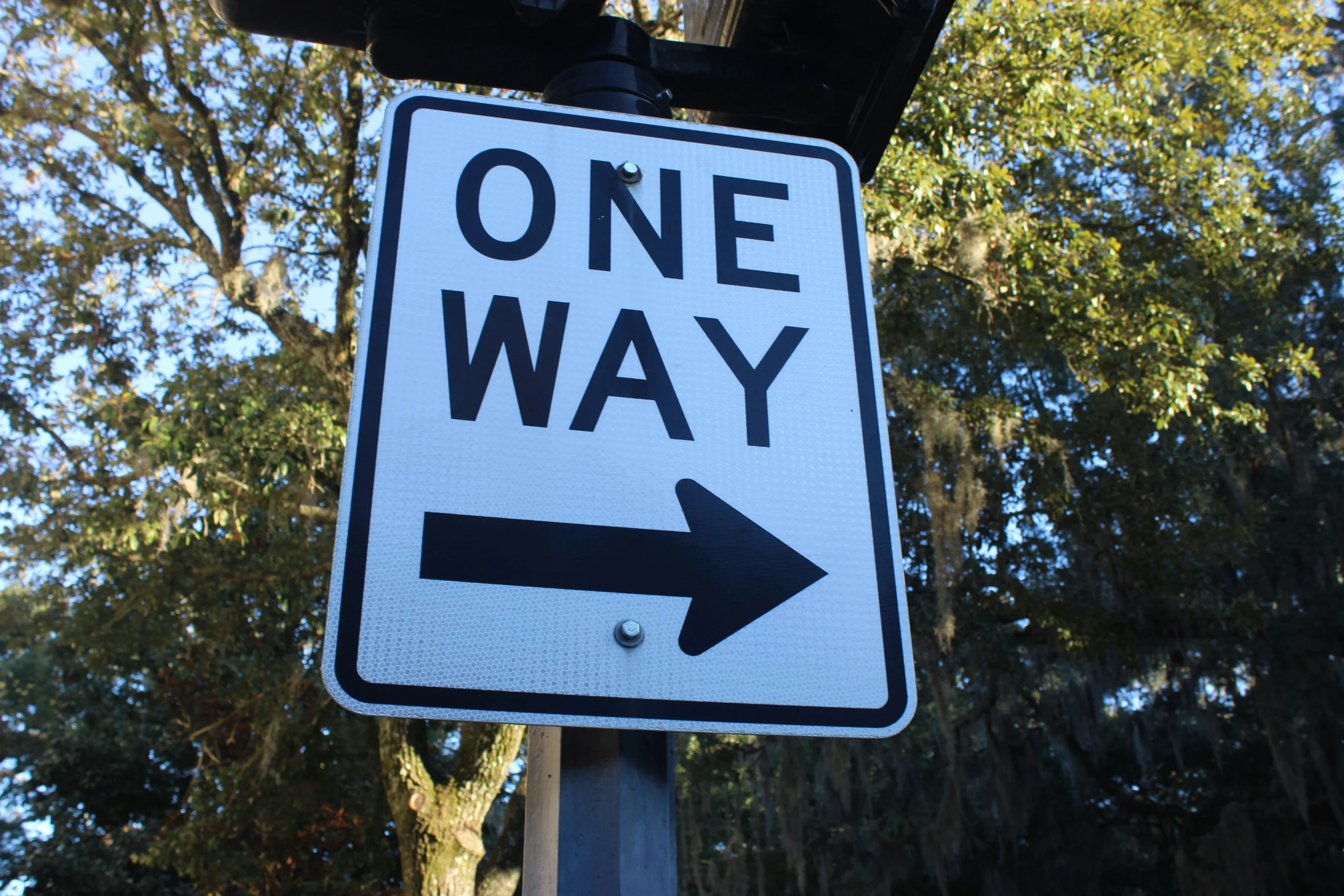 One way road sign pointing right against a canopy of trees